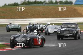 PANGBORN/WOODS Austin-Healey 100M