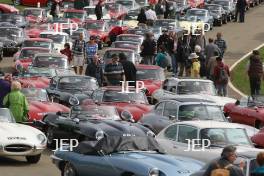 Jaguar E Type world record attempt