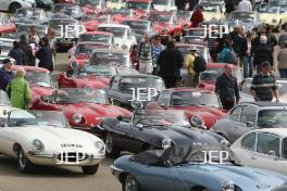 Jaguar E Types on track