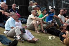 Fans at the Silverstone Classic