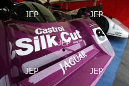 Nic Minassian JAGUAR XJR14