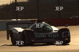 Nic Minassian (FRA) Jaguar XJR14