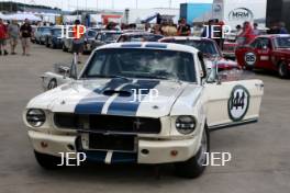 Mike THORNE 	GBR 	Ford Shelby Mustang GT350