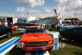 Mustang Display