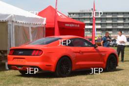 Mustang Display