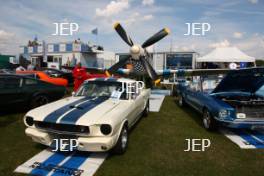 Mustang Display