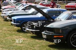 Mustang Display