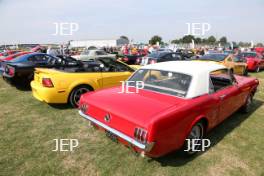 Ford Mustang Display