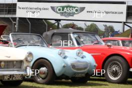 Classic Car Displays