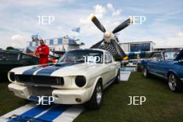 Mustang Display