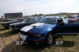 Ford Mustang Display