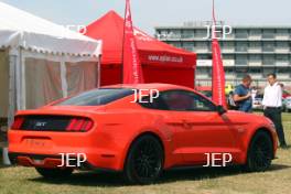 Mustang Display