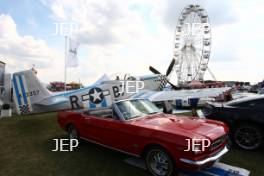 Mustang Display