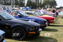 Ford Mustang Display