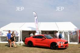 Ford Mustang Display