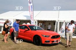 Ford Mustang Display