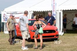 Ford Mustang Display