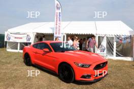 Ford Mustang Display