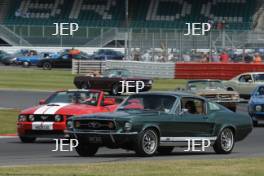 Ford Mustang Parade