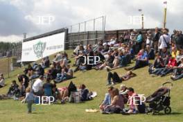 Silverstone Classic  crowd