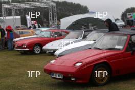 Silverstone Classic  crowd