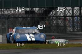  P. Nelson 21 srD Chevron B8