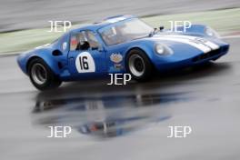  P. Nelson 21 srD Chevron B8