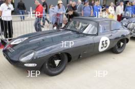 Martin MELLING 33 LA  Jaguar E-type