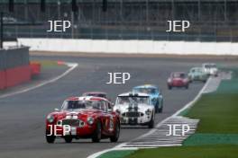 Silverstone Classic  28-30 July 2017 At the Home of British Motorsport RAC Tourist Trophy for Pre 63 GT LINLEY WILL, Austin Healey Free for editorial use only Photo credit –  JEP 