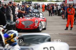 Silverstone Festival, Silverstone 2023 25th-27th August 2023 Free for editorial use only 450 Paul Mortimer / Jonathan Mortimer - Austin-Healey