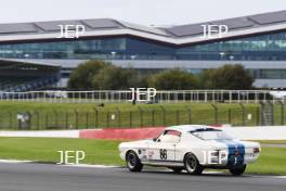 Silverstone Festival, Silverstone 2024. 23rd-25th August 2024 Free for editorial use only 86 Jeremy COOKE Ford Shelby Mustang GT 350